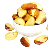 Brazil Nuts Medium