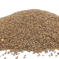Chia Seeds (Black)