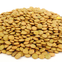 Lentils (Brown)