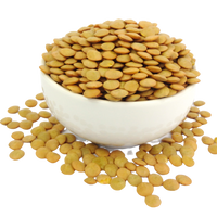 Lentils (Brown)