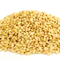 Pearl Barley
