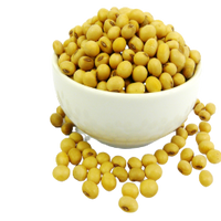 Soya Beans - Australian