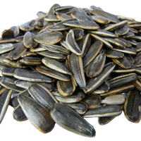 Sunflower Seeds (Roasted in Shell)