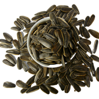 Sunflower Seeds (Roasted in Shell)