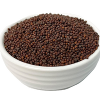 Mustard Seeds (Brown/Yellow)