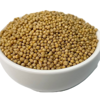 Mustard Seeds (Brown/Yellow)
