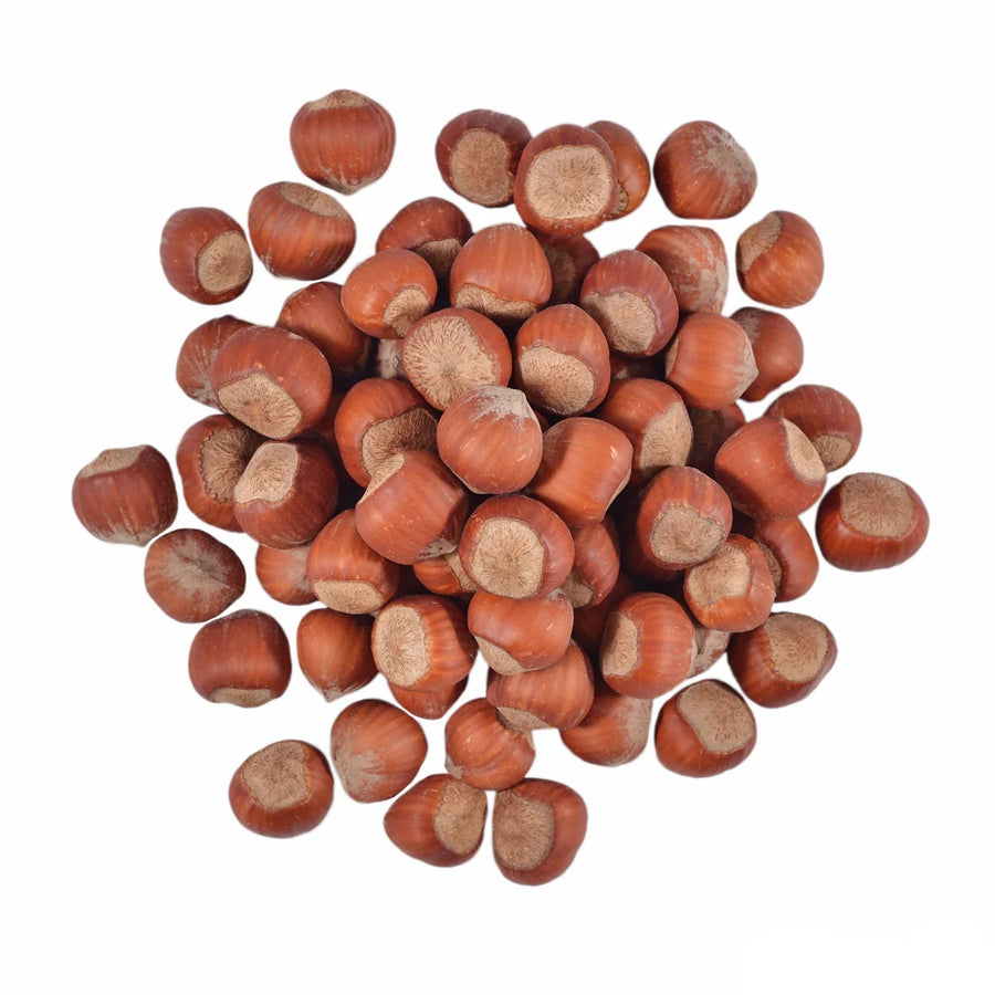 Hazelnut in Shell - SPECIAL