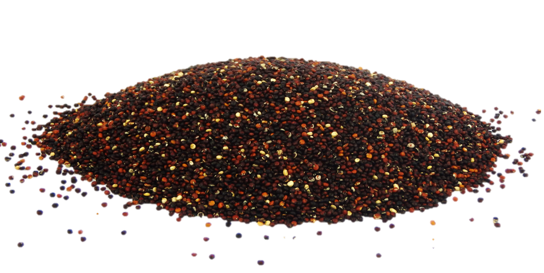Quinoa (Black)
