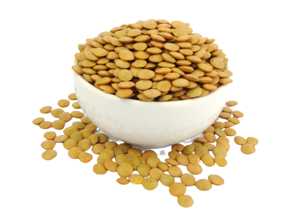 Lentils (Brown)