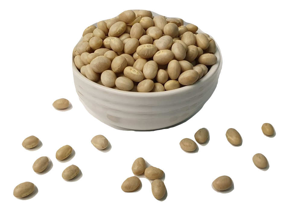 Haricot (Navy) Beans