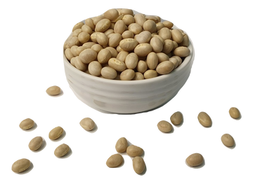 Haricot (Navy) Beans