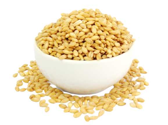 Pearl Barley