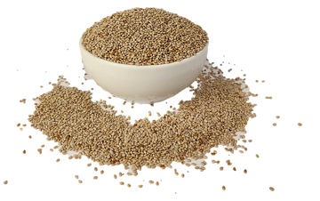 Chia Seeds (White)