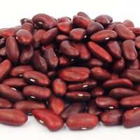 Kidney Beans Red