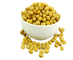 Soya Beans - Australian