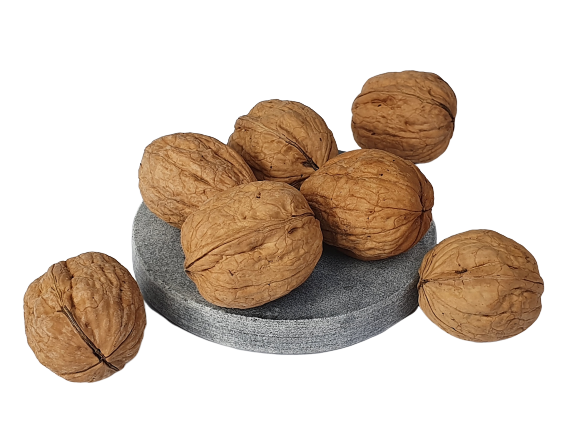Victorian Walnuts in Shell Jumbo 2024 - Australian