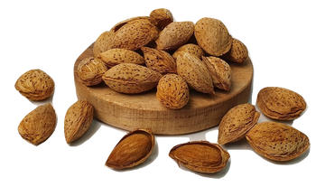 Almonds in Shell - Australian (New Season Stock May 2024)