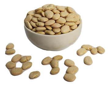 Lima Beans- Large
