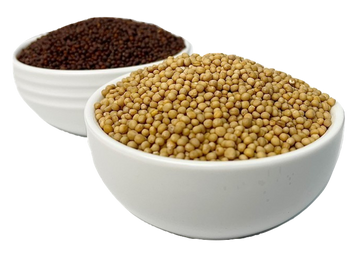 Mustard Seeds (Brown/Yellow)