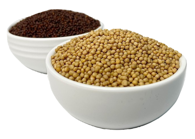 Mustard Seeds (Brown/Yellow)