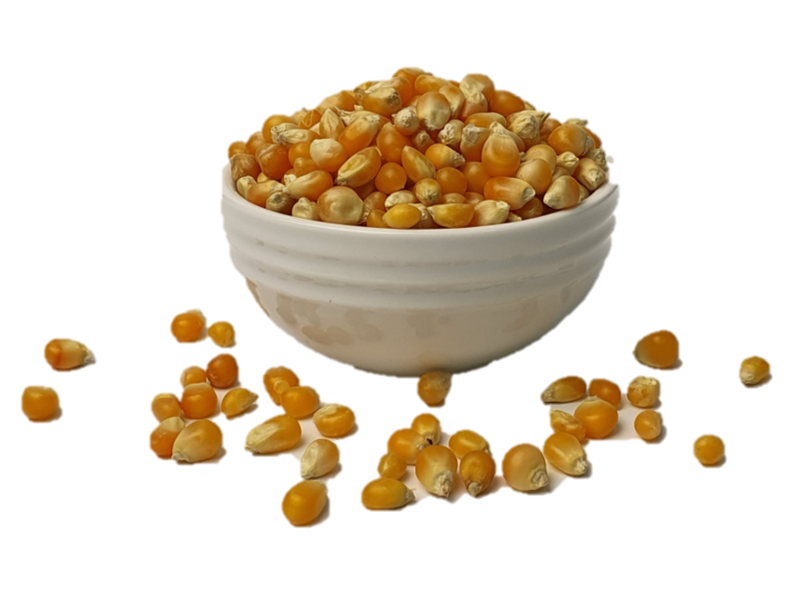 Popping Corn