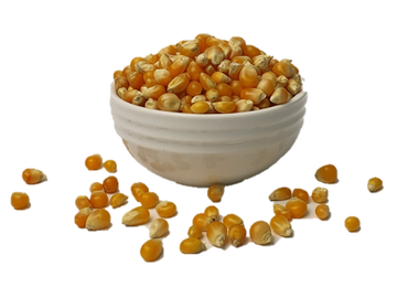 Popping Corn